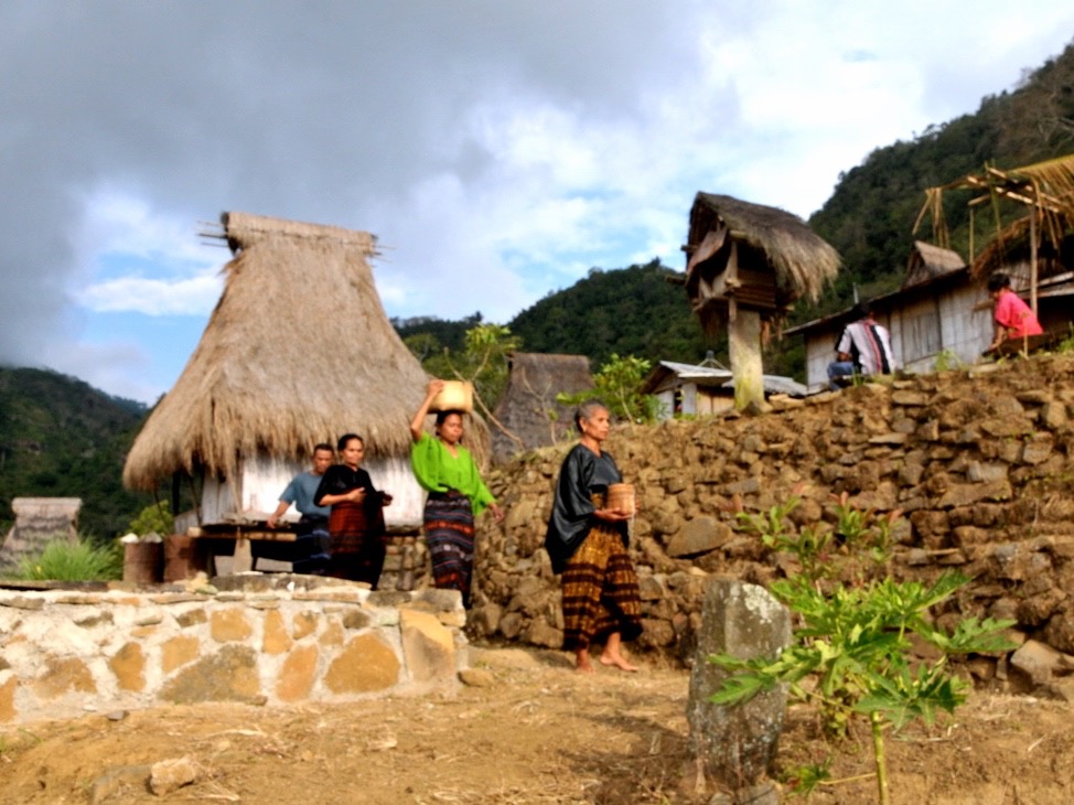 Menarik Kampung Adat Saga Desa Lama di Ende NTT